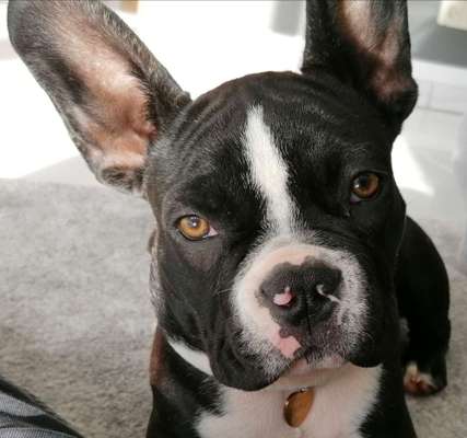 Fotochallange Nr. 57     PORTRÄT.   Beendet!!!!!!!!-Beitrag-Bild