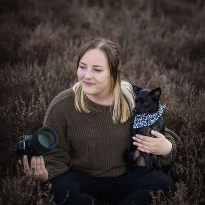 Tierfotografen-CANIS Dogphotography-Bild
