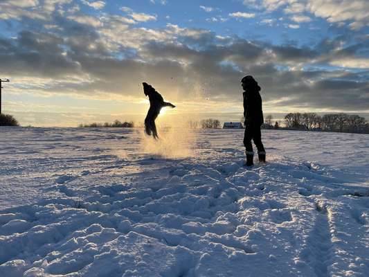 Dogorama Photo Challenge - Winterstimmung-Beitrag-Bild