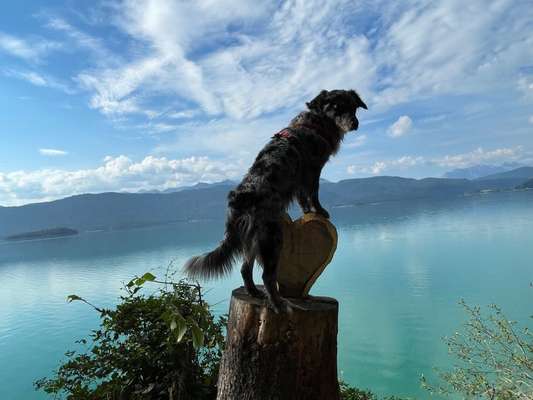 Bayrische Seen-Beitrag-Bild