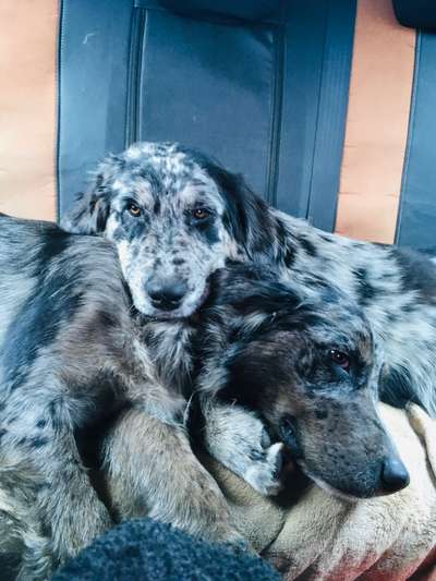 Challenge 30  Freundschaft-Beitrag-Bild