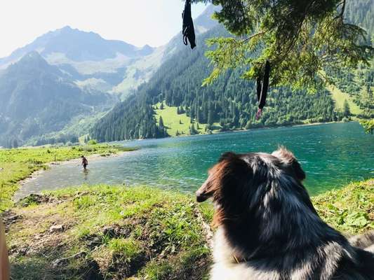 Dogorama Photo Challenge - Tierischer Urlaub-Beitrag-Bild