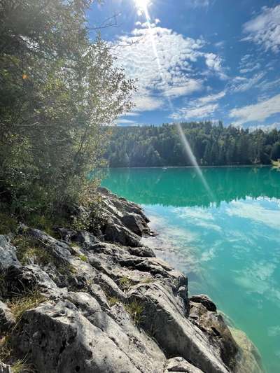 Bayrische Seen-Beitrag-Bild