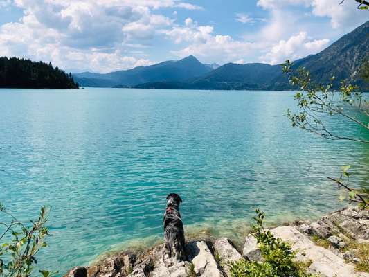 Bayrische Seen-Beitrag-Bild