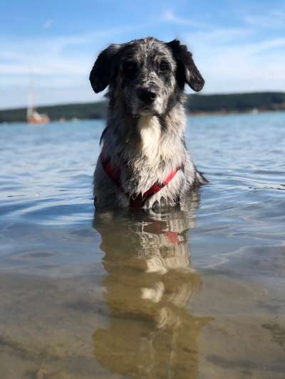 Fotochallenge Nr. 94 It's summer time-Beitrag-Bild