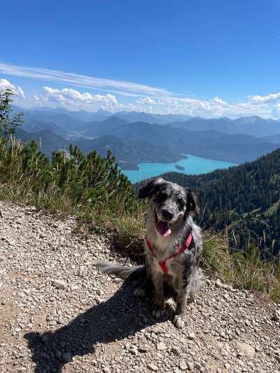 Bayrische Seen-Beitrag-Bild