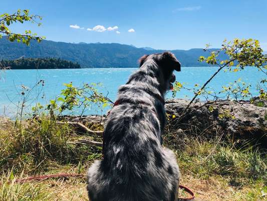 Bayrische Seen-Beitrag-Bild