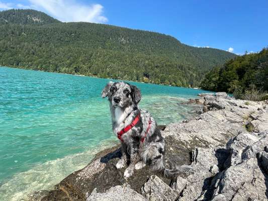 Bayrische Seen-Beitrag-Bild