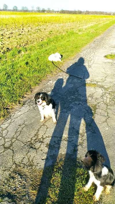 Tongue Out Tuesday-Beitrag-Bild