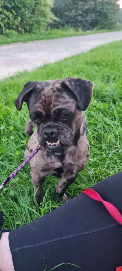 Fotochallenge Nr. 47 - Zeigt die Zähne-Beitrag-Bild