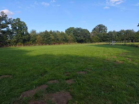 Hundeauslaufgebiet-Hundewiese Bargteheide-Bild