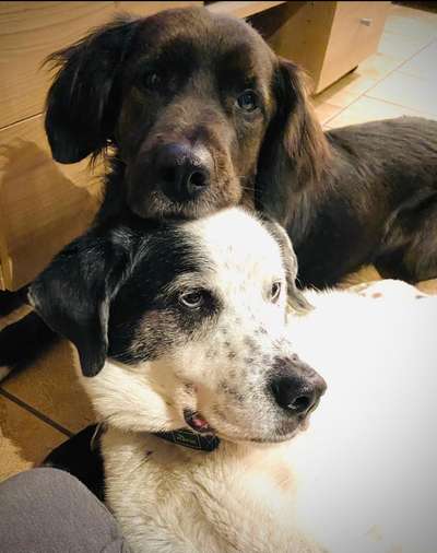 Fotochallenge liebespaare-Beitrag-Bild