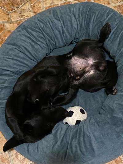 Foto Challenge - Zeigt her eure Bäuche-Beitrag-Bild