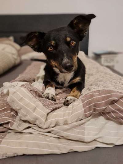 Fotochallange Nr. 57     PORTRÄT.   Beendet!!!!!!!!-Beitrag-Bild