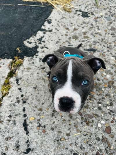 Handy-Foto Challange Nr. 10-Beitrag-Bild