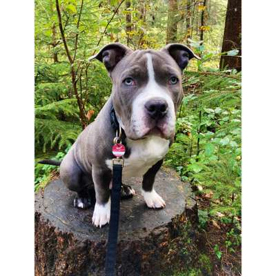 Lieblingsbild-Beitrag-Bild