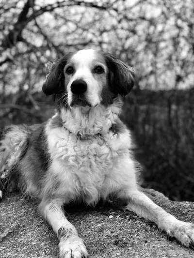 Foto-Challenge 76: Foto in Schwarz-Weiss-Beitrag-Bild