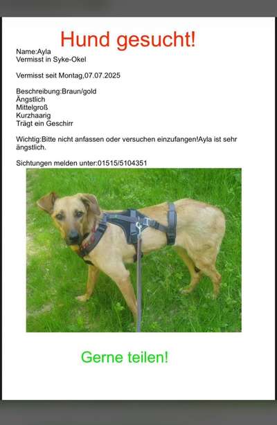 Suchmeldung-Ayla-Bild