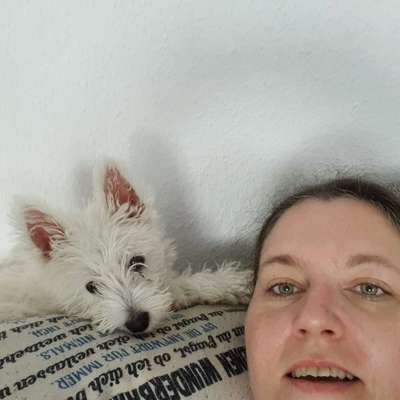 Hundetreffen-Welpen spiel Partner-Profilbild