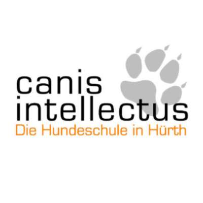 Hundeschulen-Hundeschule canis intellectus-Bild