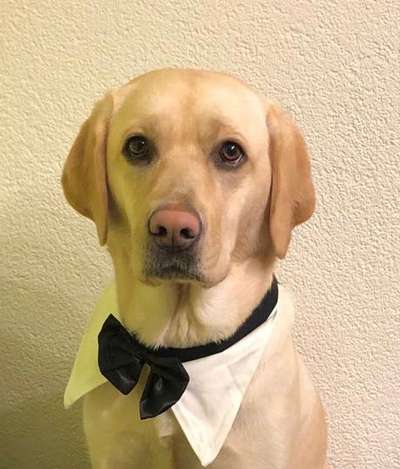 Fotochallange Nr. 57     PORTRÄT.   Beendet!!!!!!!!-Beitrag-Bild