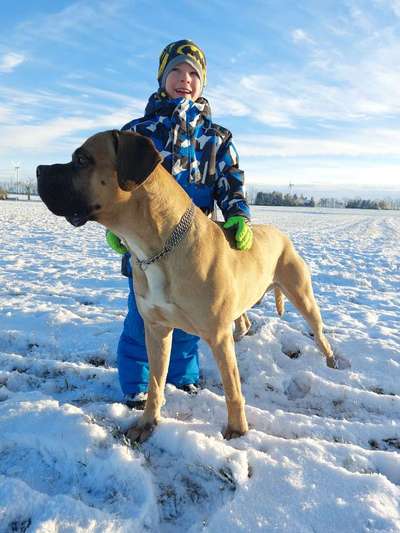 Welchen Hund hast du?-Beitrag-Bild