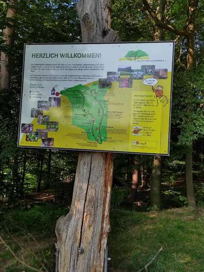 Hundeauslaufgebiet-Walderlebnisspfad Sulzbach am Main-Bild