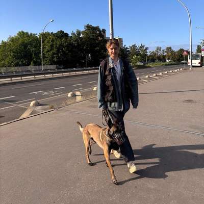 Hundetreffen-Gemeinsames Training: Hundebegegnungen