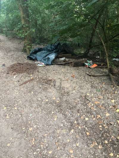 TierschutzhundeStammtisch🐕-Beitrag-Bild