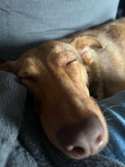 Moviestar-Pics!-Beitrag-Bild