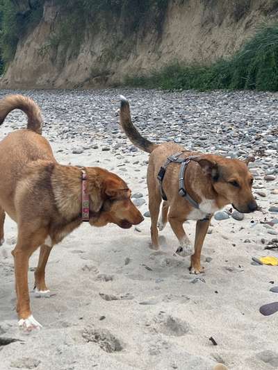 Doppelgänger gesucht !-Beitrag-Bild