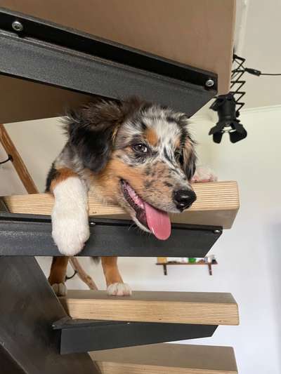 Handyfoto challenge Nr. 13: Waschlappen raus!-Beitrag-Bild