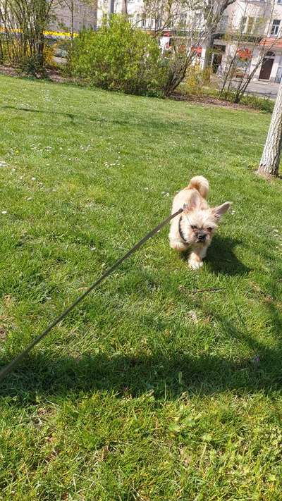 Fotochallenge No. 26                                     Wald und Wiese-Beitrag-Bild