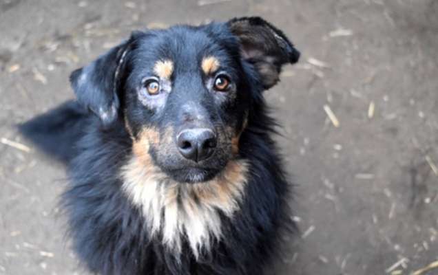 Fotochallange Nr. 57     PORTRÄT.   Beendet!!!!!!!!-Beitrag-Bild