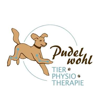 Medizinische Dienstleistung Pudelwohl Tierphysiotherapie in Hitzacker (Elbe)  – Dogorama