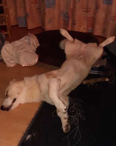 Fotochallenge Nr.65-Beitrag-Bild