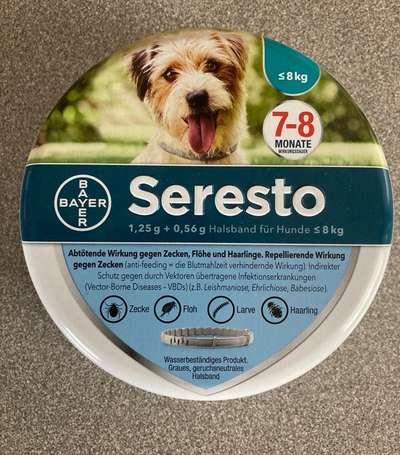 Starker Juckreiz, Schuppenbildung-Beitrag-Bild