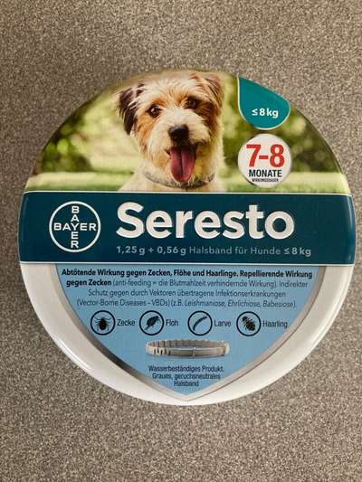 Zeckenstich - Tierarzt nötig?-Beitrag-Bild