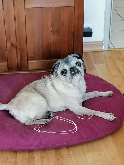 Lieblingsbild-Beitrag-Bild