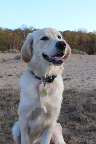 Foto Challenge 3-Beitrag-Bild