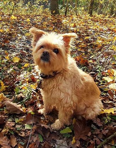 Fotochallenge Nr. 56 - geliebte Senioren-Beitrag-Bild