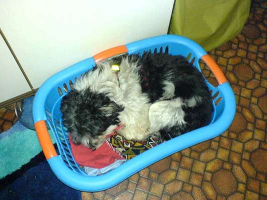 Die unbequemsten und lustigsten Schlafpositionen-Beitrag-Bild