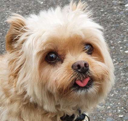 Lieblingsbild :D-Beitrag-Bild