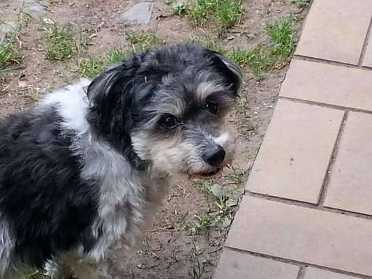 Fotochallenge Nr. 56 - geliebte Senioren-Beitrag-Bild