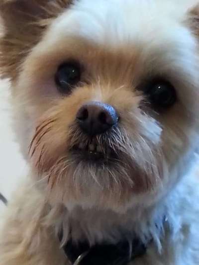 Lieblingsbild :D-Beitrag-Bild