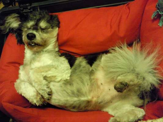 Die unbequemsten und lustigsten Schlafpositionen-Beitrag-Bild