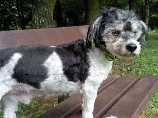 Unsere Sternchen ******-Beitrag-Bild