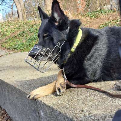 69. Handy-Fotochallenge: Soundtrack-Beitrag-Bild