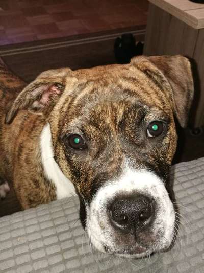 Lieblingsbild-Beitrag-Bild