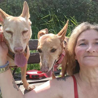 Hundetreffen-Spaziergang um Schwalbach u. Umgebung-Profilbild